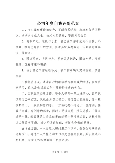 公司年度自我评价范文.docx