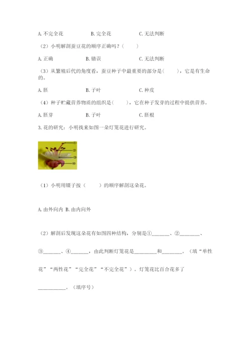 科学四年级下册第一单元《植物的生长变化》测试卷【能力提升】.docx