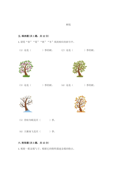 教科版小学二年级上册科学期末测试卷含答案【研优卷】.docx