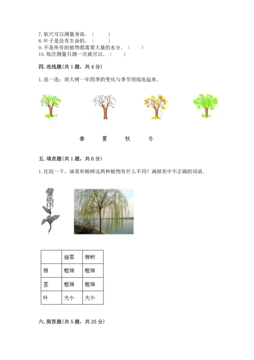 教科版一年级上册科学期末测试卷带答案（巩固）.docx