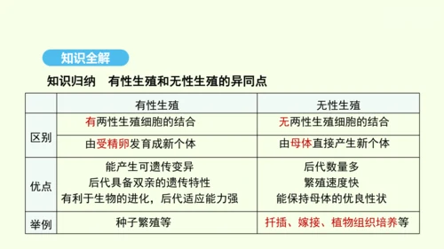 7.1.1植物的生殖课件-人教版生物八年级下册(共33张PPT)