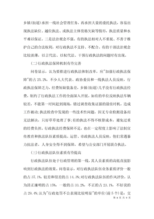 乡镇行政执法社会调查报告3篇.docx