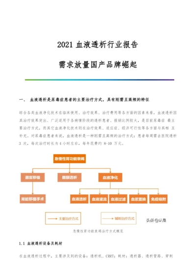 血液透析行业报告-需求放量国产品牌崛起.docx