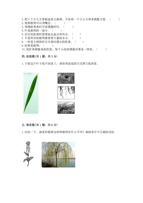 教科版一年级上册科学期末测试卷带答案.docx