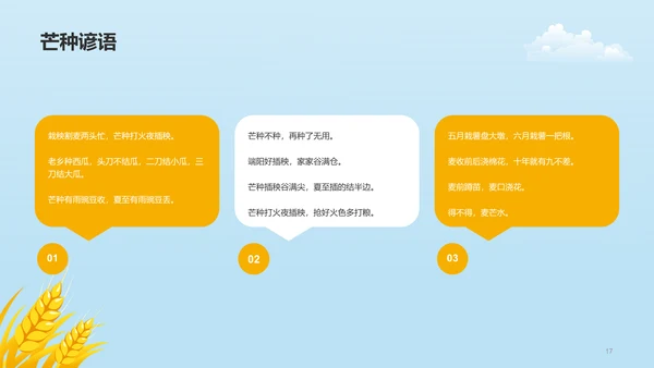 黄色插画二十四节气芒种科普介绍PPT模板