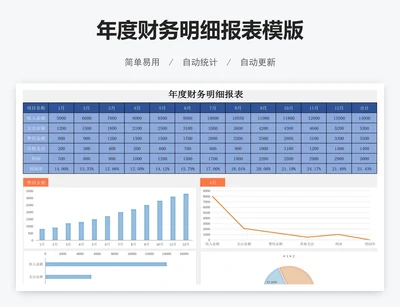 年度财务明细报表模版