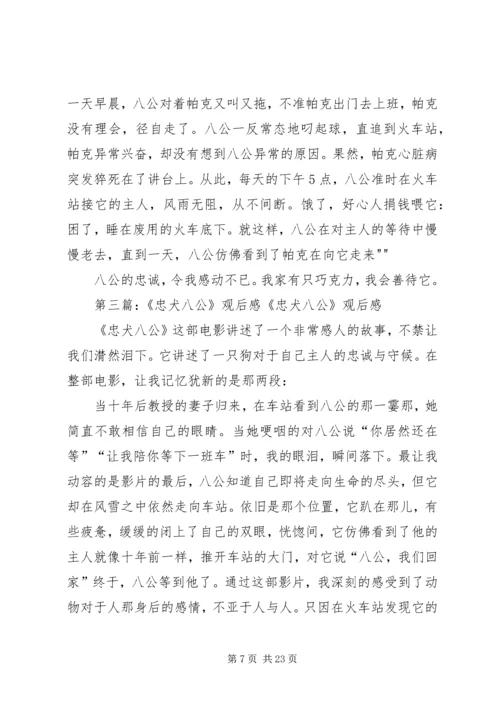 忠犬八公观后感 (6).docx