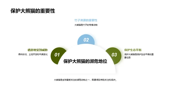 守护国宝：大熊猫保护行动