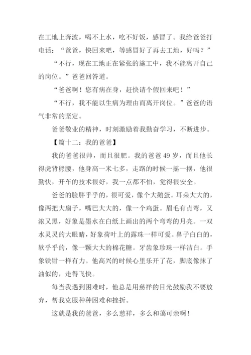 我的爸爸作文300字-5.docx