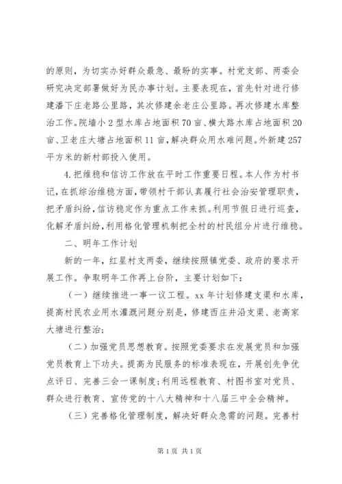 XX年村支部书记个人述职报告 (2).docx