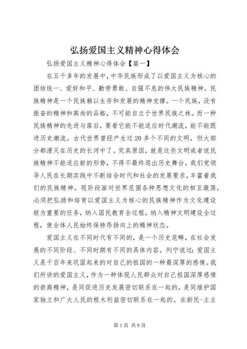 弘扬爱国主义精神心得体会.docx