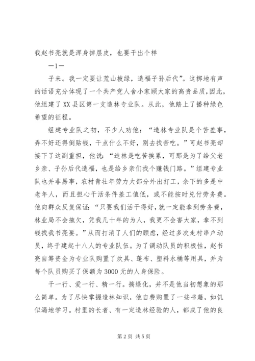 XX县区赵书亮造林事迹.docx