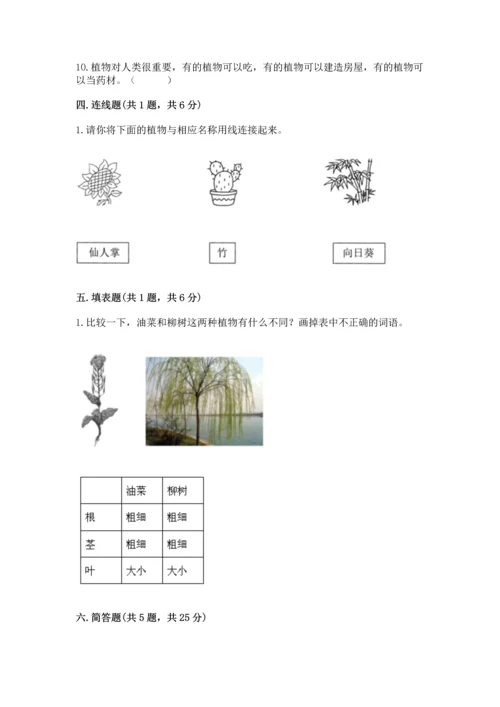 教科版一年级上册科学期末测试卷精品【突破训练】.docx