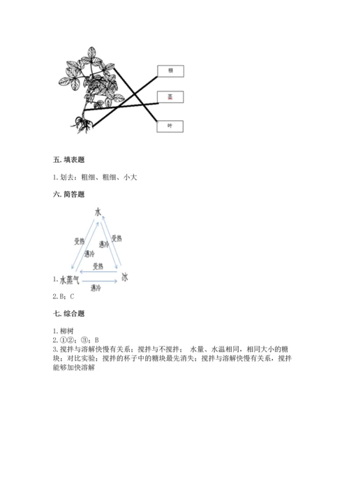教科版科学一年级上册第一单元《植物》测试卷及1套参考答案.docx
