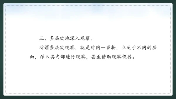 统编版语文三年级上册 第五单元  习作例文 我爱故乡的杨梅 课件