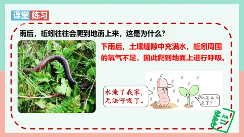 5.1.2线形动物和环节动物课件-人教版生物八年级上册(共47张PPT)