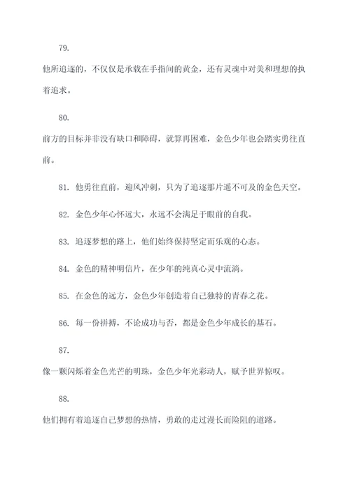 追逐金色的少年的好词好句