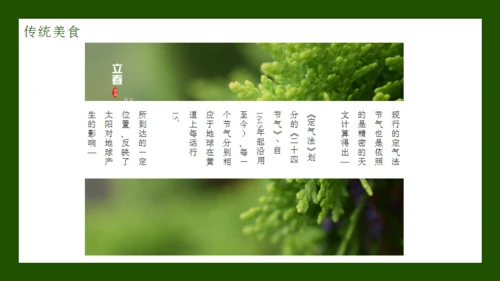 立春节气通用PPT模板