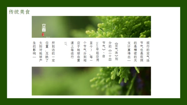 立春节气通用PPT模板