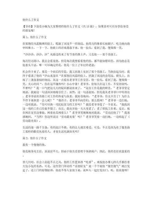 他什么了作文