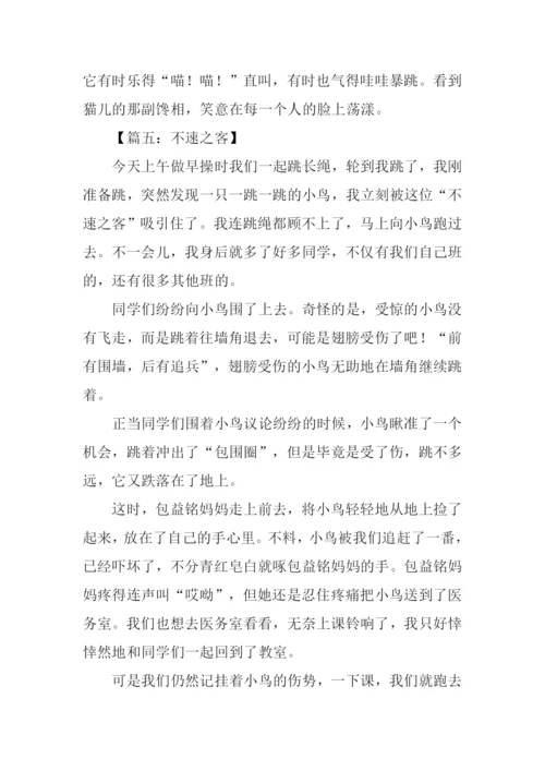 关于不速之客的作文.docx