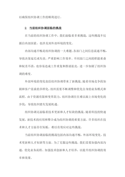 组织协调措施方案.docx