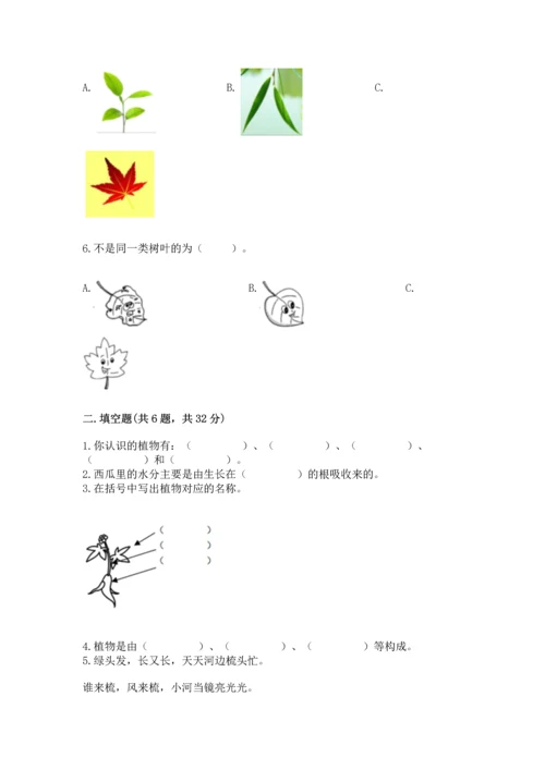 教科版科学一年级上册第一单元《植物》测试卷附参考答案【完整版】.docx