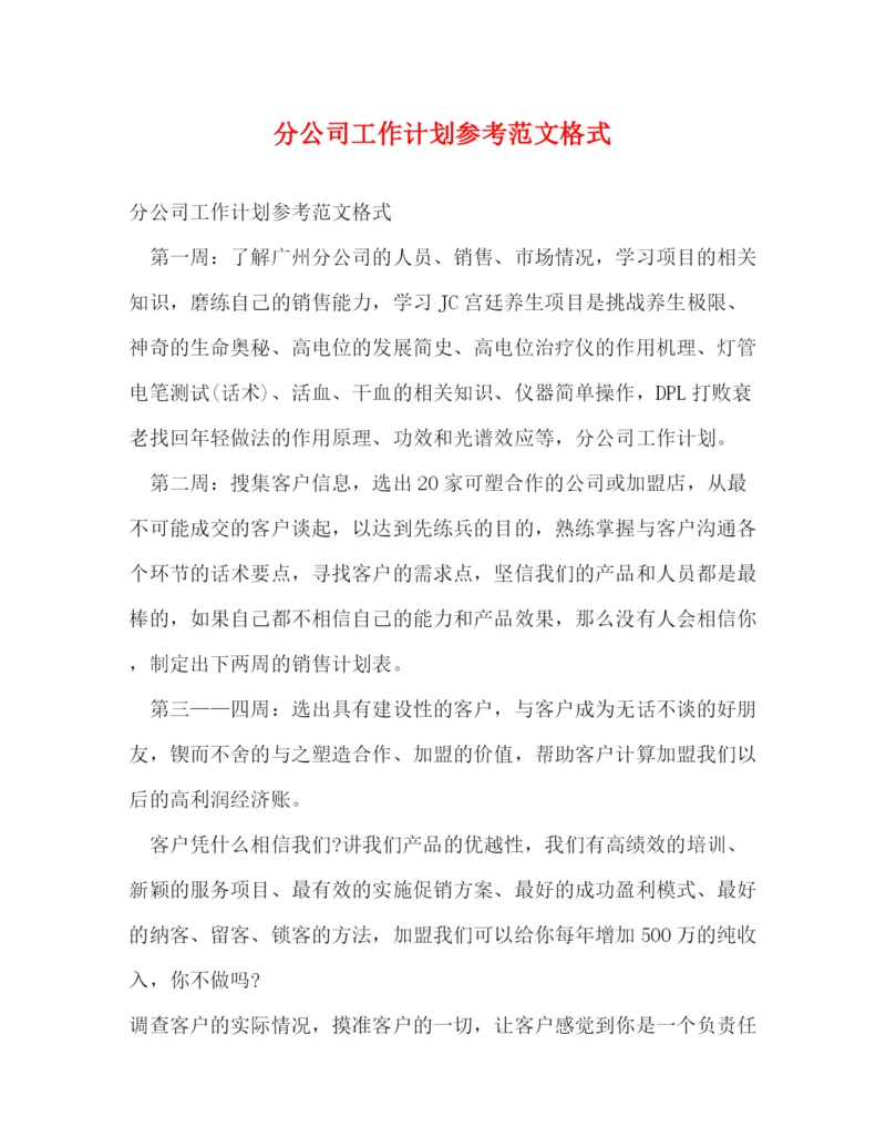 精编之分公司工作计划参考范文格式.docx