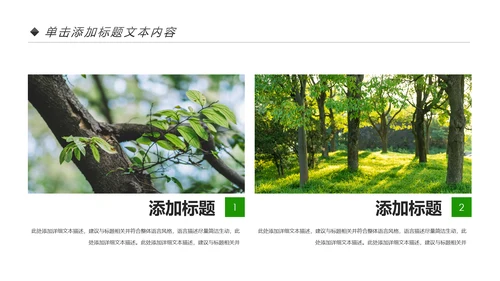 绿色生态森林湿地环境保护植树造林PPT模板
