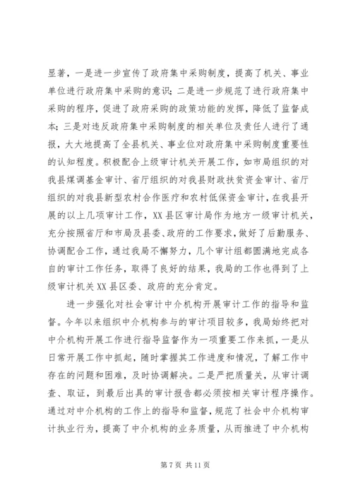 市审计局总结及年度工作规划.docx