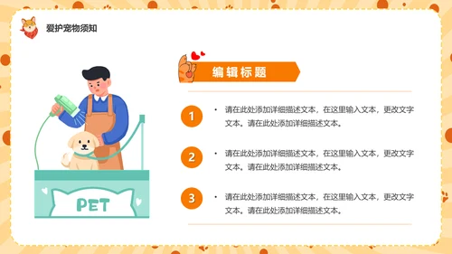 猫咪，宠物健康管理PPT模板