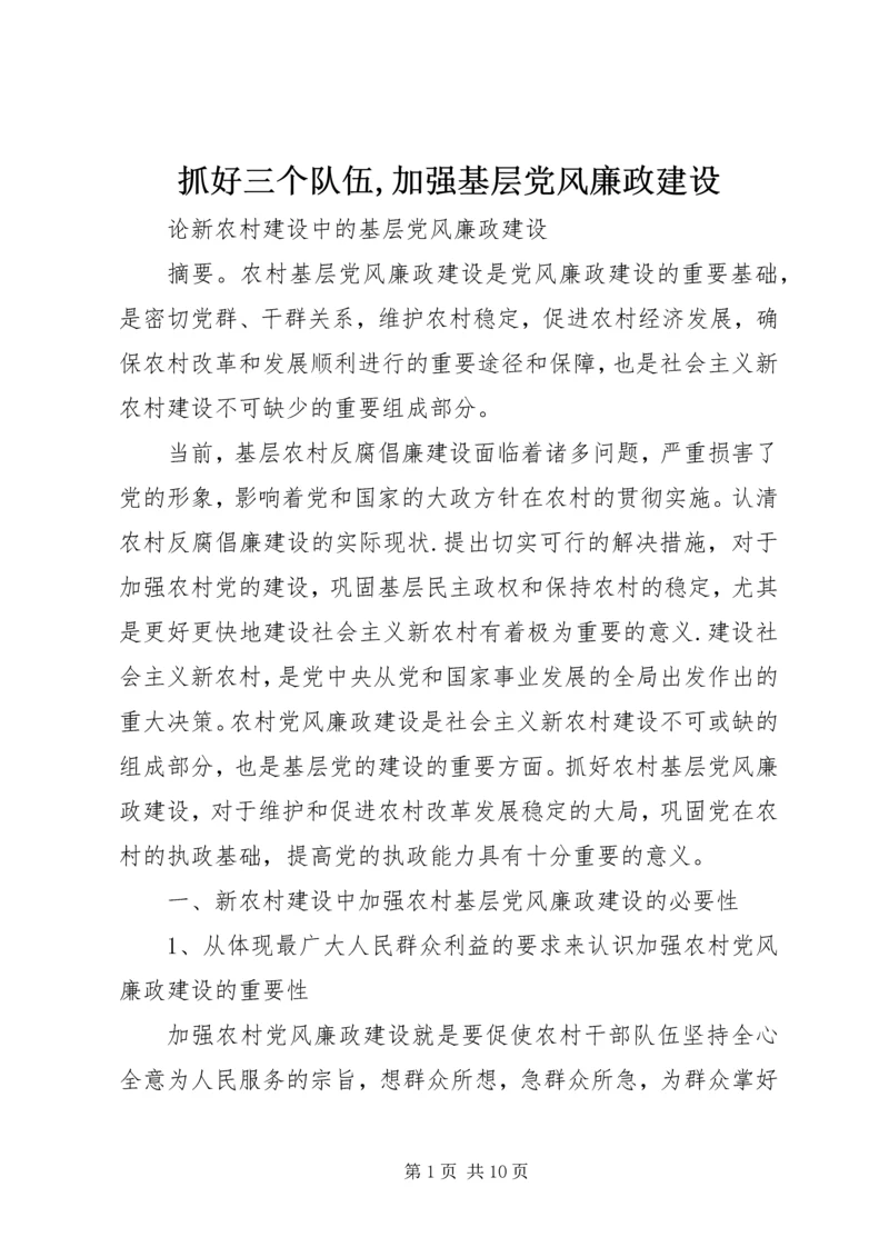 抓好三个队伍,加强基层党风廉政建设 (3).docx