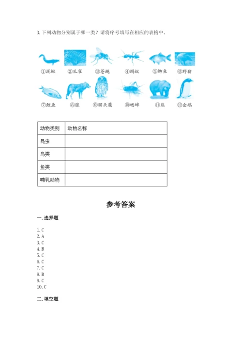 教科版小学科学三年级下册 期末测试卷及参考答案【研优卷】.docx