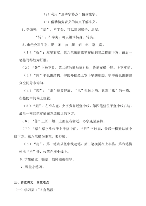 【新课标】２０　小壁虎借尾巴.教案