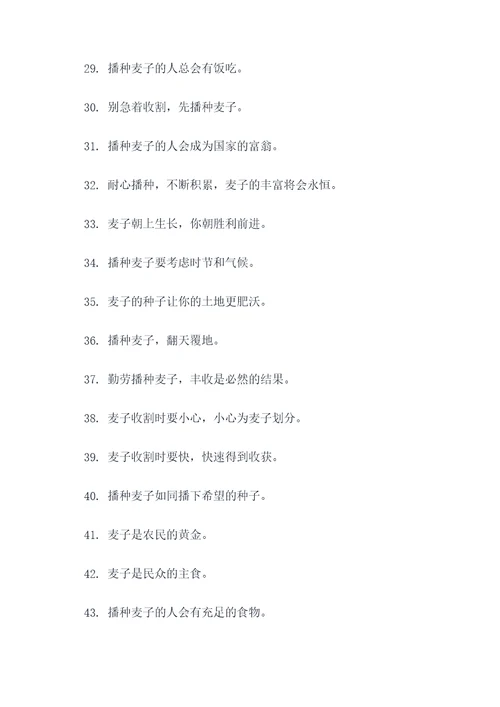 播种麦子谚语