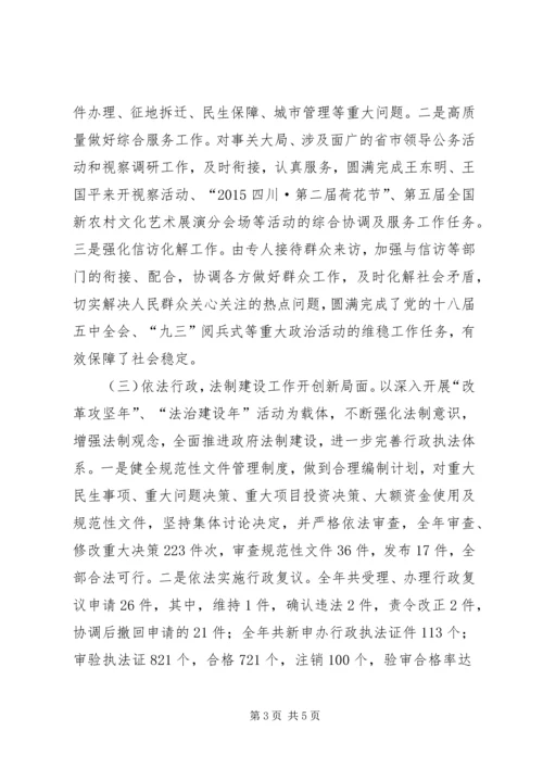 乡镇政府办年度工作总结.docx