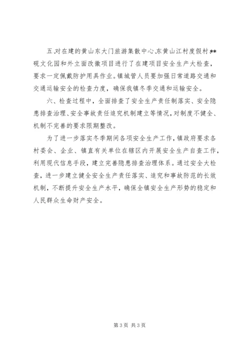 乡镇某年冬季安全生产大检查总结.docx