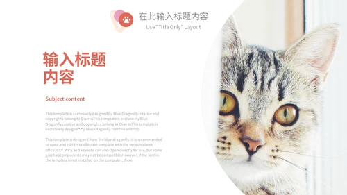 宠物乐园萌宠猫咪主题通用PPT模板