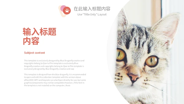 宠物乐园萌宠猫咪主题通用PPT模板
