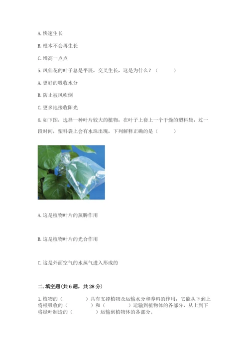 科学四年级下册第一单元植物的生长变化测试卷（能力提升）.docx