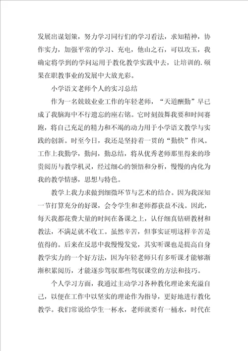 小学语文教师个人的实习总结