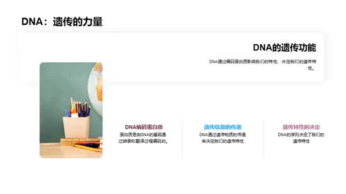 探秘生命之源——DNA