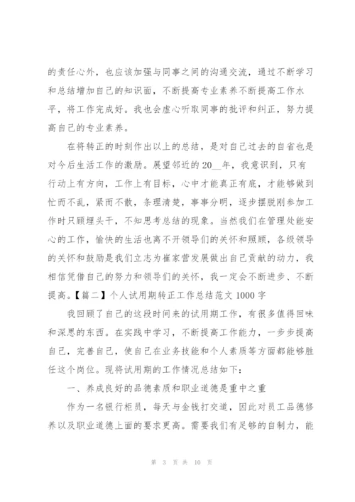 个人试用期转正工作总结范文1000字.docx