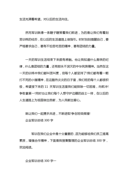 个人军训总结300字以内.docx