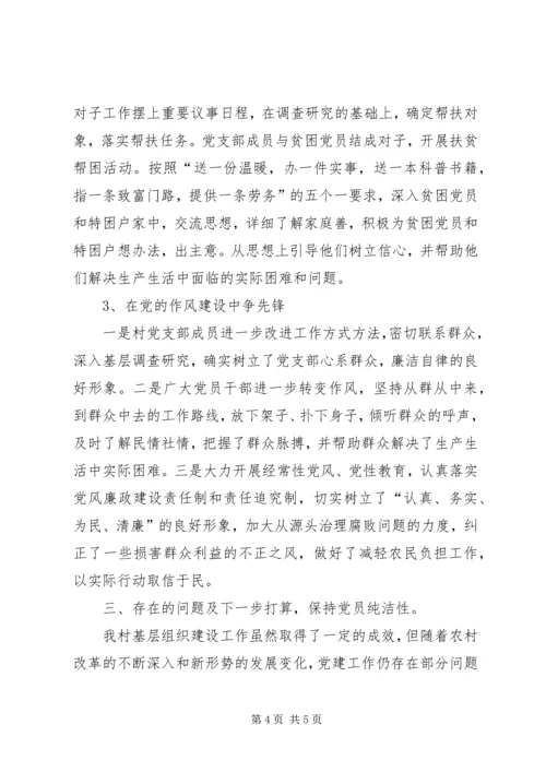 村党支部党建工作汇报.docx