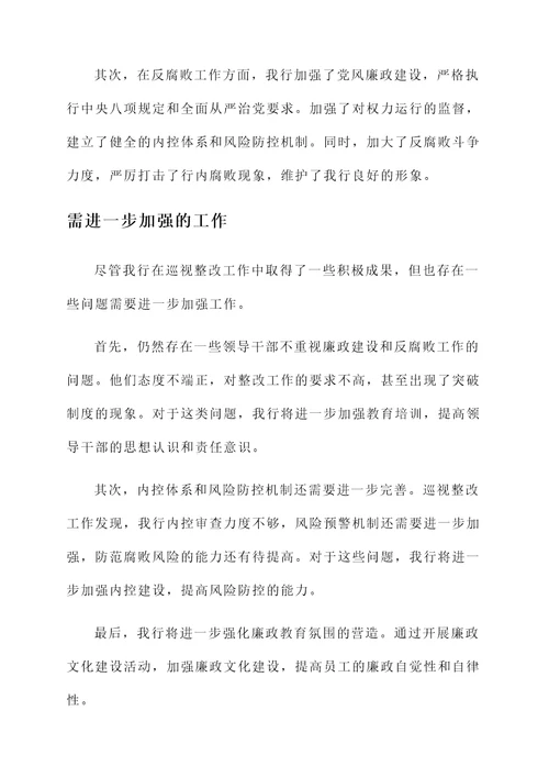 农业银行巡视整改情况汇报
