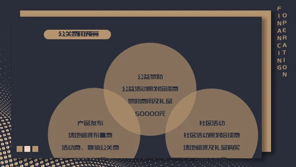 高端质感大气项目融资计划通用PPT模板