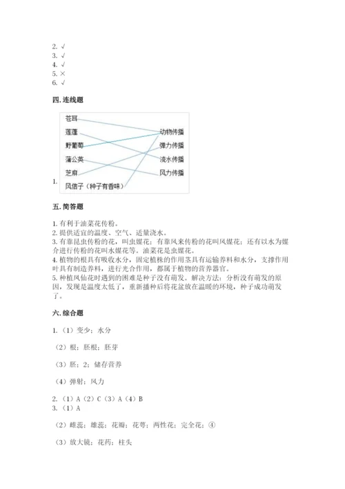 教科版科学四年级下册第一单元《植物的生长变化》测试卷完整参考答案.docx
