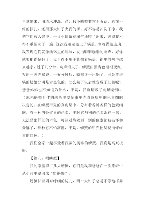 关于螃蟹的作文.docx