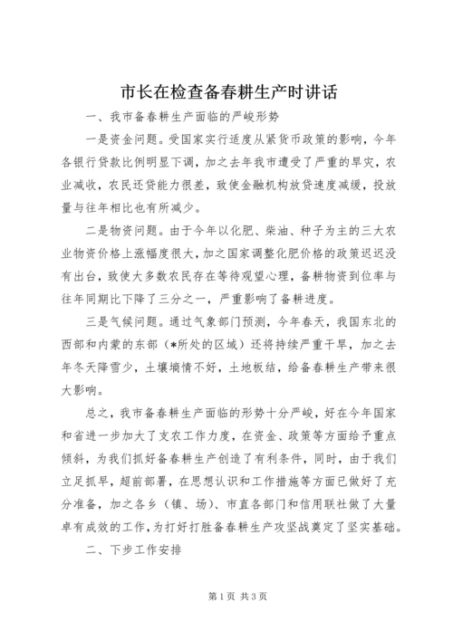 市长在检查备春耕生产时讲话.docx